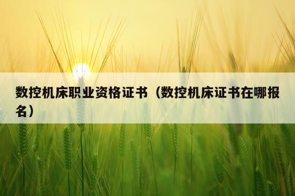 数控机床职业资格证书（数控机床证书在哪报名）