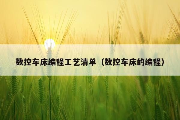 数控车床编程工艺清单(数控车床的编程)