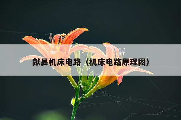 献县机床电路（机床电路原理图）