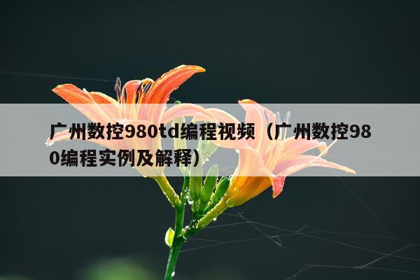 广州数控980td编程视频(广州数控980编程实例及解释)