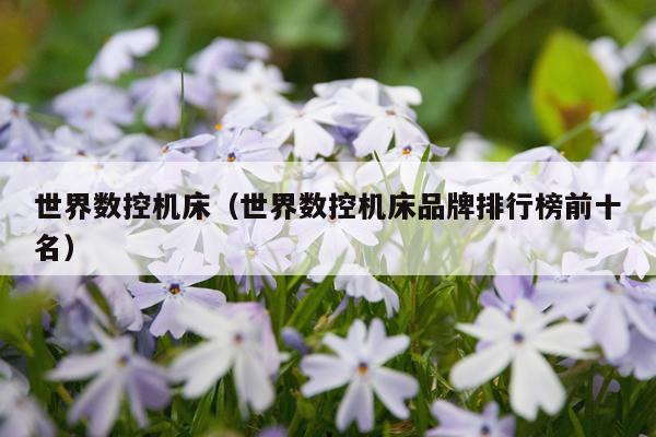 世界数控机床（世界数控机床品牌排行榜前十名）