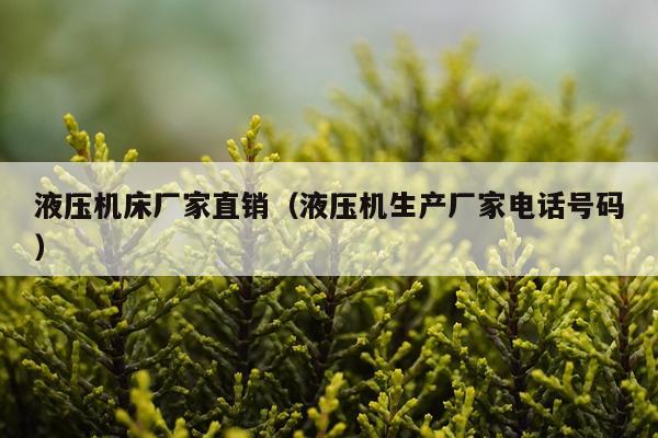 液压机床厂家直销（液压机生产厂家电话号码）