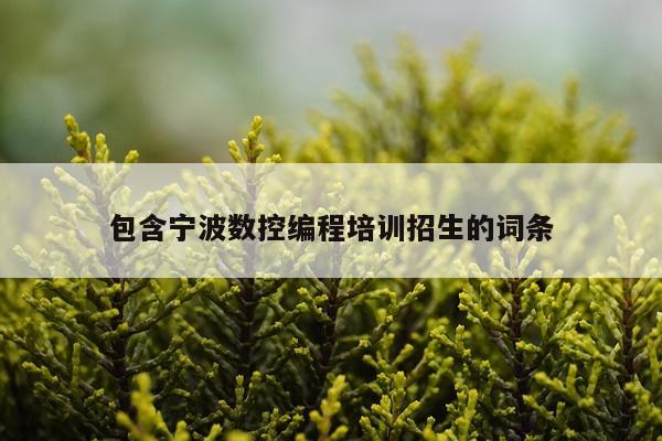 包含宁波数控编程培训招生的词条