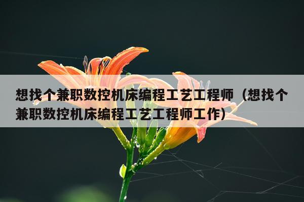 想找个兼职数控机床编程工艺工程师(想找个兼职数控机床编程工艺工程师工作)