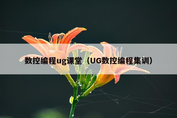 数控编程ug课堂(UG数控编程集训)