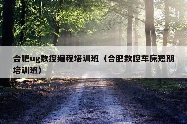 合肥ug数控编程培训班(合肥数控车床短期培训班)