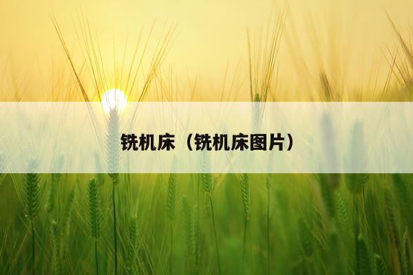 铣机床（铣机床图片）