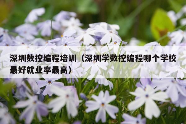 深圳数控编程培训(深圳学数控编程哪个学校最好就业率最高)