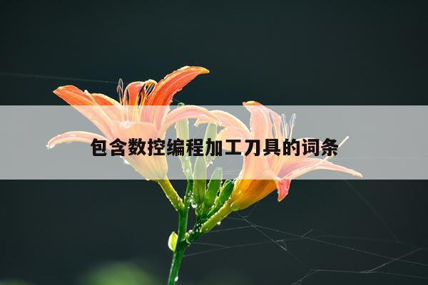 包含数控编程加工刀具的词条