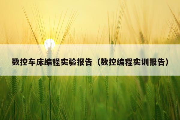 数控车床编程实验报告(数控编程实训报告)