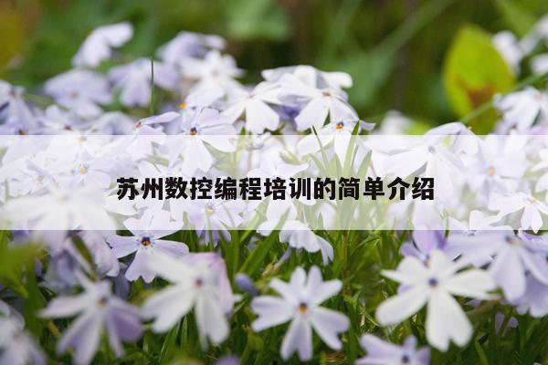 苏州数控编程培训的简单介绍