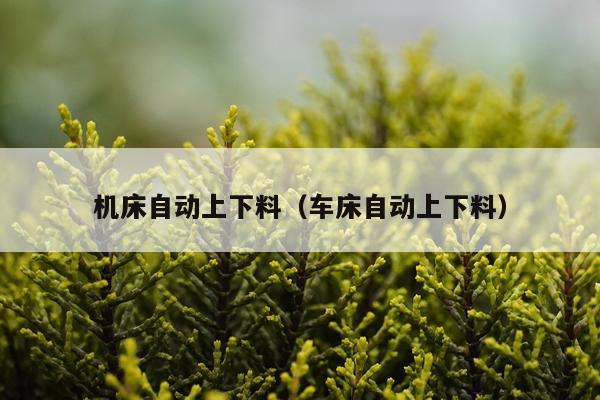 机床自动上下料(车床自动上下料)