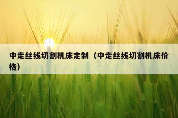 中走丝线切割机床定制(中走丝线切割机床价格)
