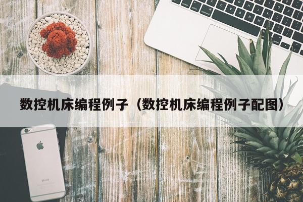 数控机床编程例子(数控机床编程例子配图)