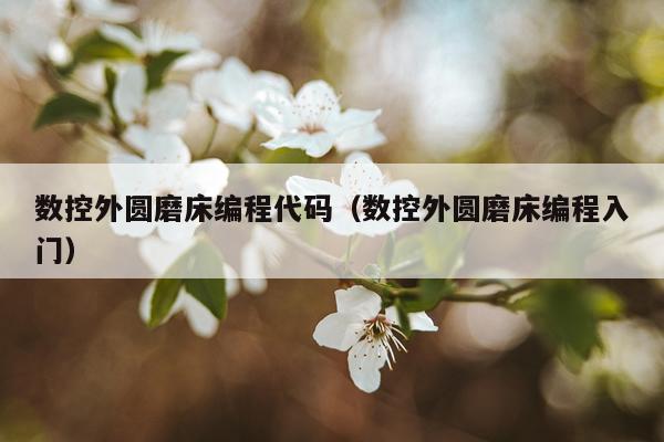 数控外圆磨床编程代码(数控外圆磨床编程入门)