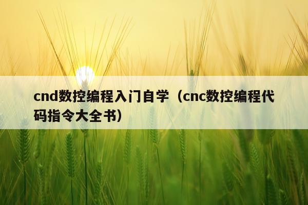 cnd数控编程入门自学(cnc数控编程代码指令大全书)