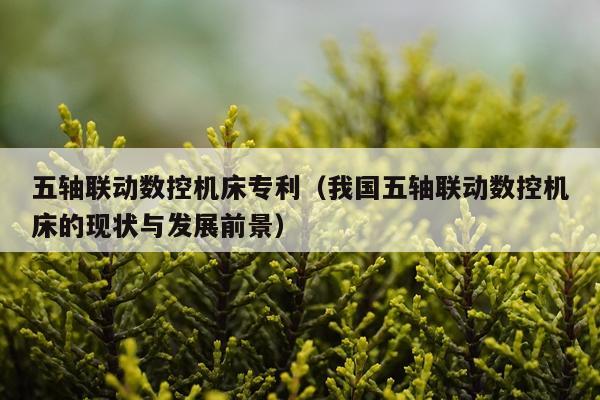 五轴联动数控机床专利（我国五轴联动数控机床的现状与发展前景）