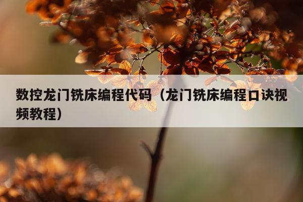 数控龙门铣床编程代码(龙门铣床编程口诀视频教程)