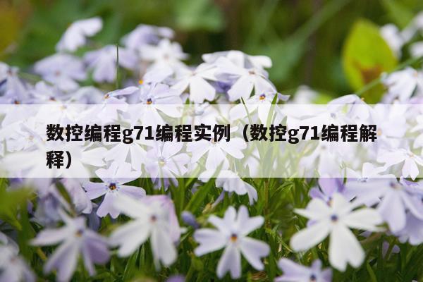 数控编程g71编程实例(数控g71编程解释)