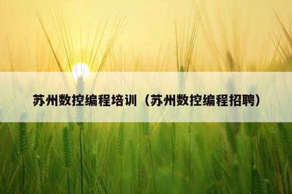苏州数控编程培训(苏州数控编程招聘)