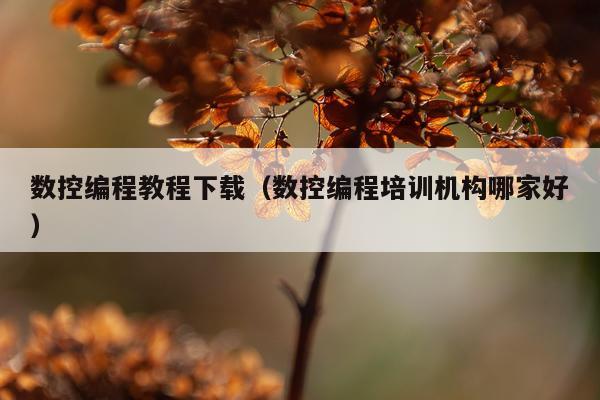 数控编程教程下载（数控编程培训机构哪家好）