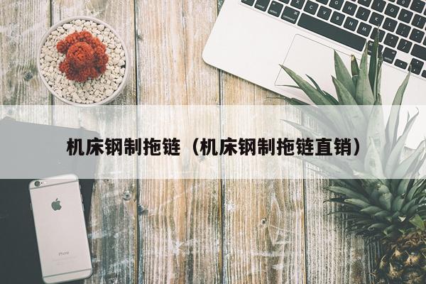 机床钢制拖链（机床钢制拖链直销）