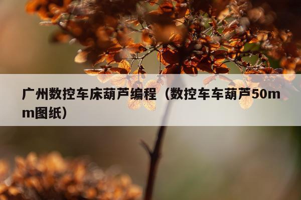 广州数控车床葫芦编程（数控车车葫芦50mm图纸）