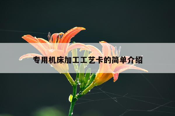 专用机床加工工艺卡的简单介绍