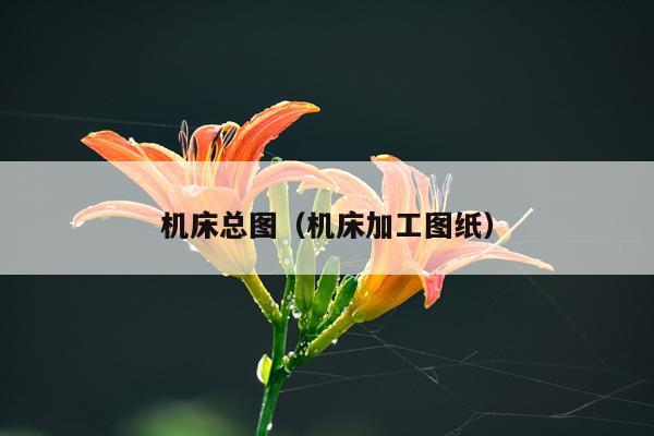 机床总图（机床加工图纸）