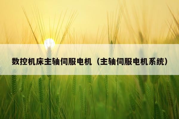 数控机床主轴伺服电机(主轴伺服电机系统)