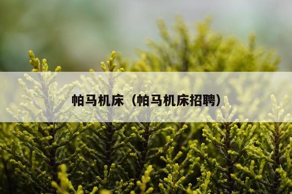 帕马机床(帕马机床招聘)
