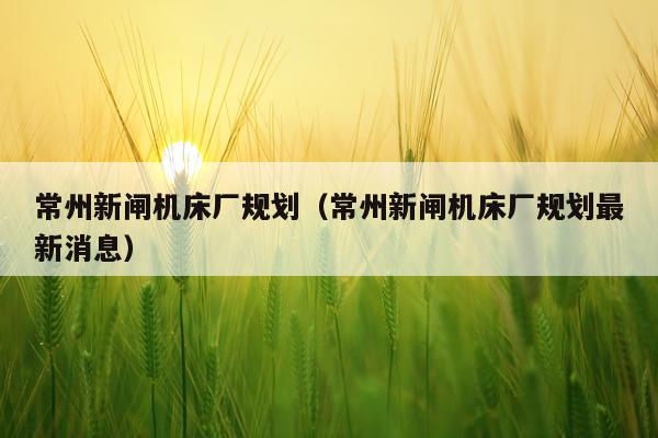 常州新闸机床厂规划（常州新闸机床厂规划最新消息）