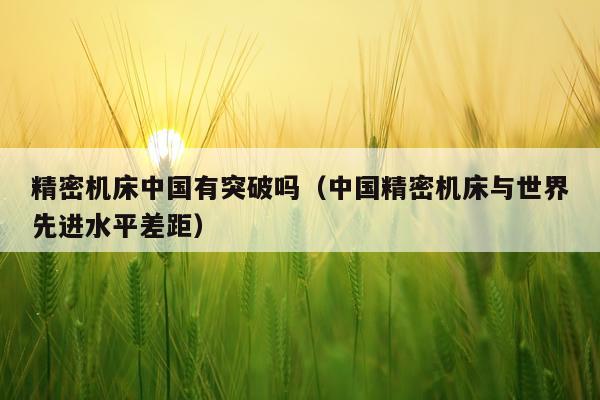 精密机床中国有突破吗（中国精密机床与世界先进水平差距）