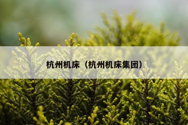 杭州机床（杭州机床集团）