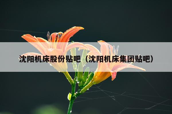 沈阳机床股份贴吧（沈阳机床集团贴吧）