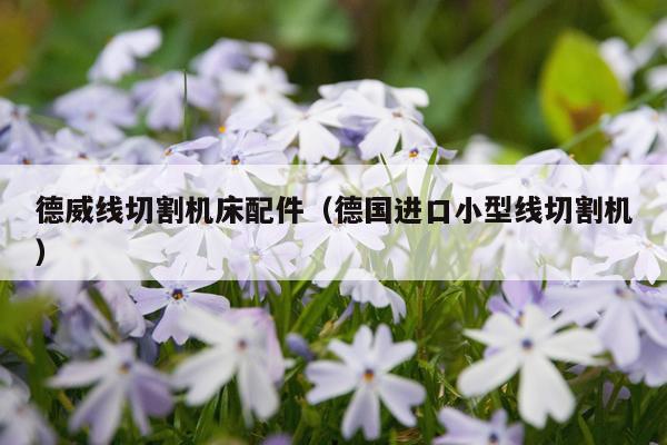 德威线切割机床配件（德国进口小型线切割机）