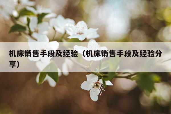 机床销售手段及经验（机床销售手段及经验分享）
