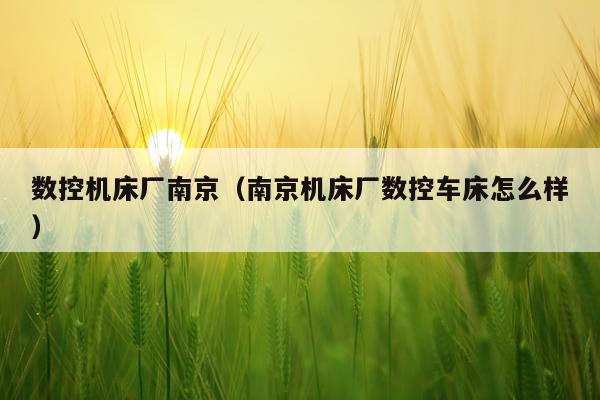 数控机床厂南京（南京机床厂数控车床怎么样）