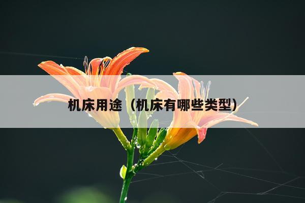 机床用途（机床有哪些类型）