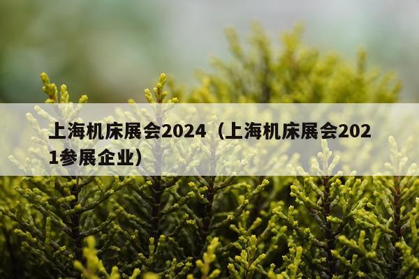 上海机床展会2024（上海机床展会2021参展企业）