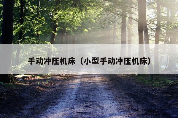 手动冲压机床(小型手动冲压机床)