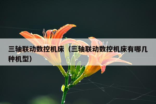 三轴联动数控机床（三轴联动数控机床有哪几种机型）
