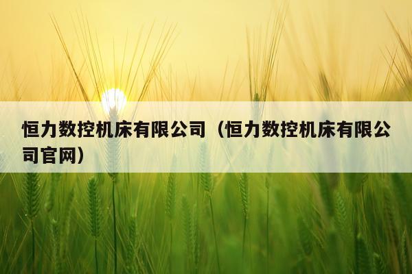 恒力数控机床有限公司（恒力数控机床有限公司官网）