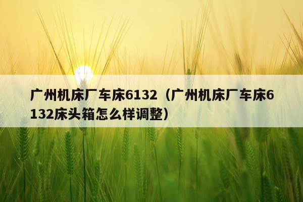 广州机床厂车床6132（广州机床厂车床6132床头箱怎么样调整）