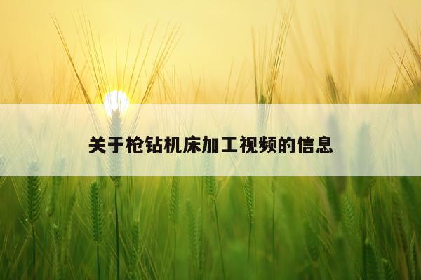 关于枪钻机床加工视频的信息