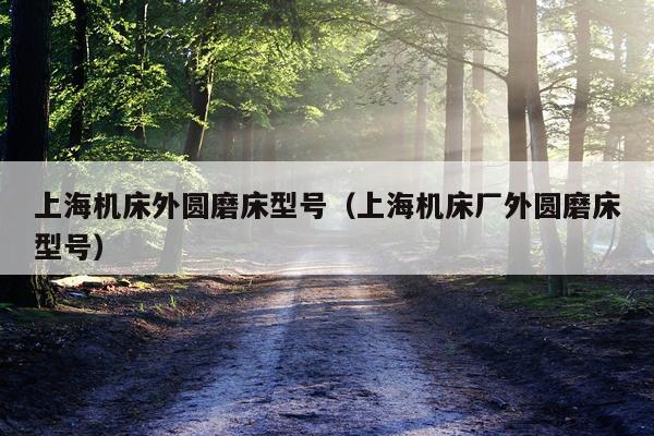 上海机床外圆磨床型号（上海机床厂外圆磨床型号）