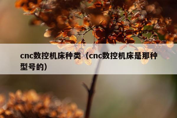 cnc数控机床种类（cnc数控机床是那种型号的）