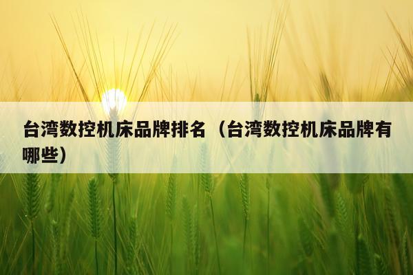台湾数控机床品牌排名（台湾数控机床品牌有哪些）