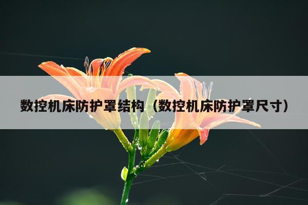 数控机床防护罩结构（数控机床防护罩尺寸）