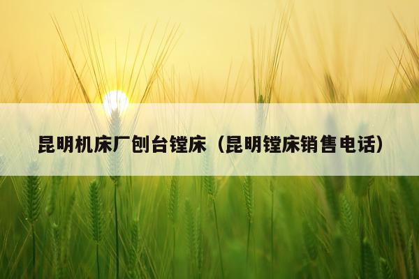 昆明机床厂刨台镗床（昆明镗床销售电话）